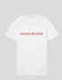 Camiseta CALVIN KLEIN institutional logo tee white