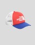 Gorra THE NORTH FACE tnf logo trucker horiznrd/tfn blue