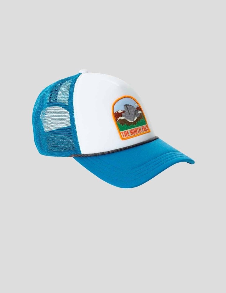 Gorra THE NORTH FACE valley trucker banf blue
