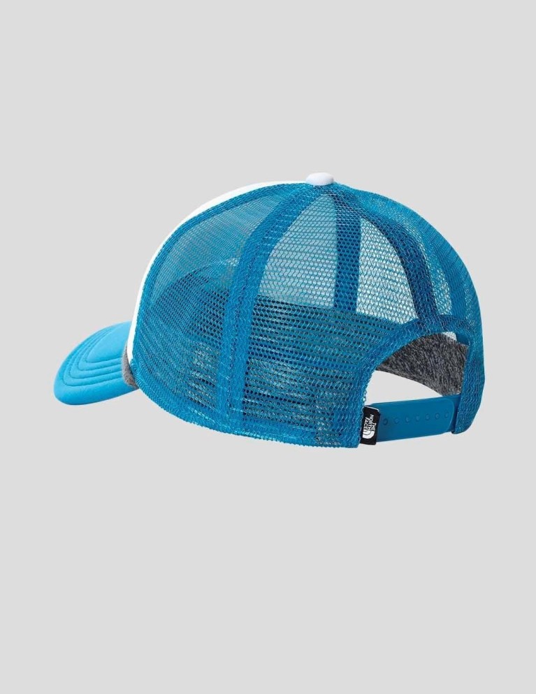 Gorra THE NORTH FACE valley trucker banf blue