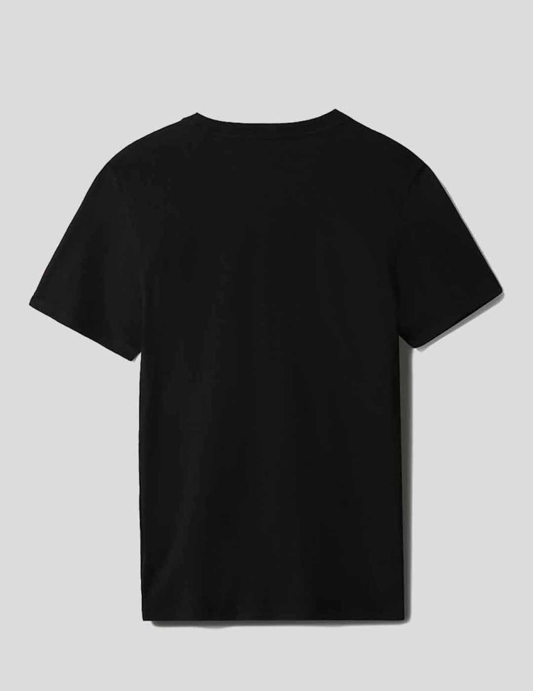 Camiseta THE NORTH FACE pride tee black
