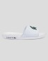 Chanclas LACOSTE croco dualiste wht/dk grn