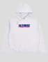 Sudadeira ALLTIMERS always embroidered hoodie heather grey