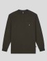 T-shirt DICKIES mount view ls tee green olive