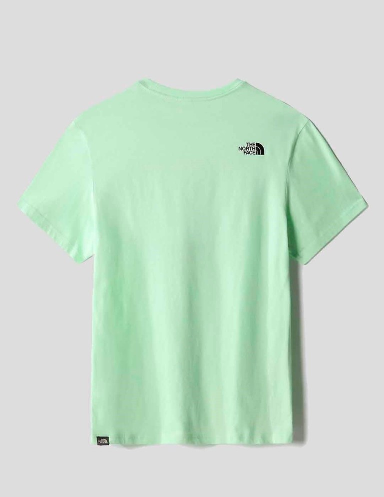 Camiseta THE NORTH FACE coordinates tee patina green