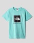 T-shirt THE NORTH FACE raglan rede box tee wasabi