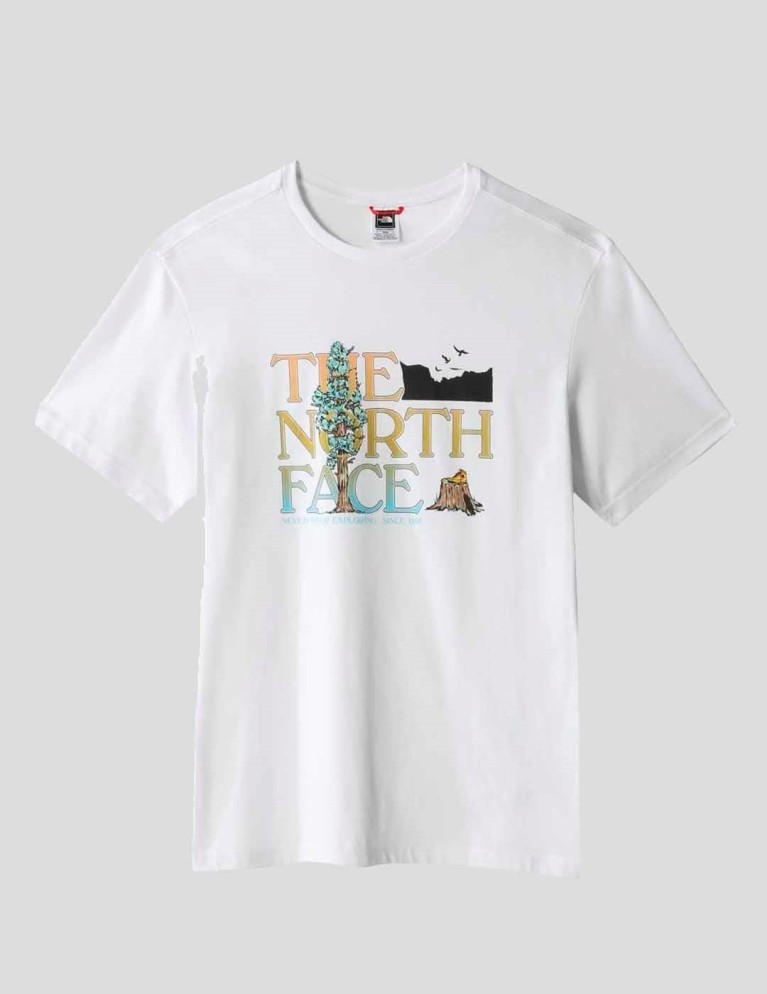 Camiseta THE NORTH FACE seasonal graphic tee tnf white