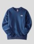 Sudadeira THE NORTH FACE raglan rede box crew new sbhady blue