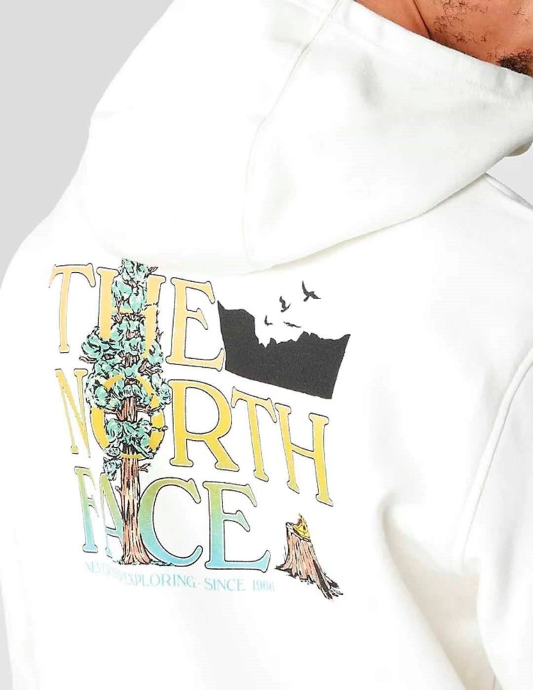 Sudadera THE NORTH FACE seasonal graphic hoodie gardenia white