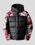 Caçadora THE NORTH FACE himalayan down print jacket lavender fog cole navin halfdome print