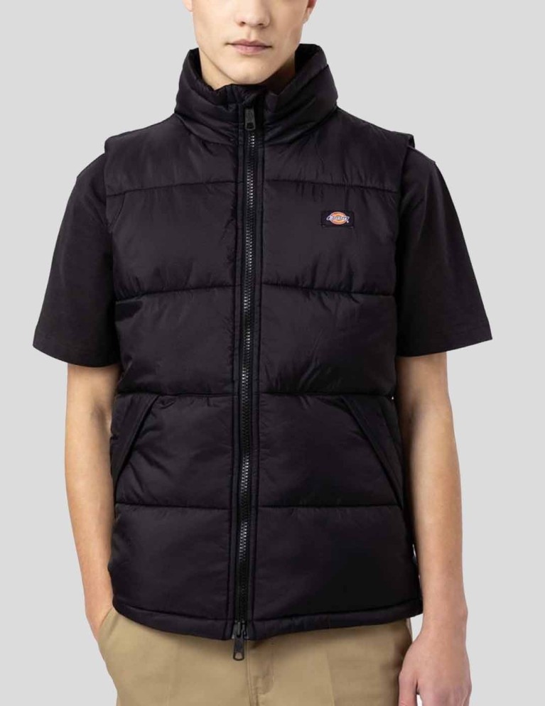 Cazadora DICKIES waldenburg vest black