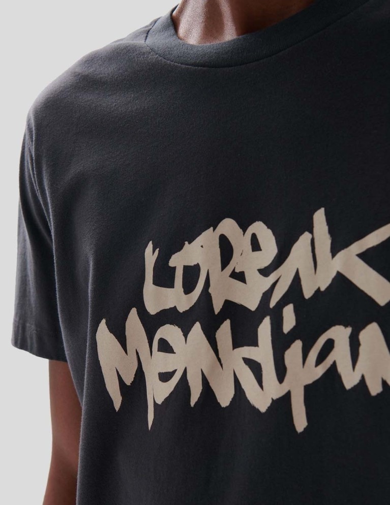 Camiseta LOREAK MENDIAN tag tee gun