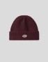 Gorro DICKIES brewton beanie grape wine