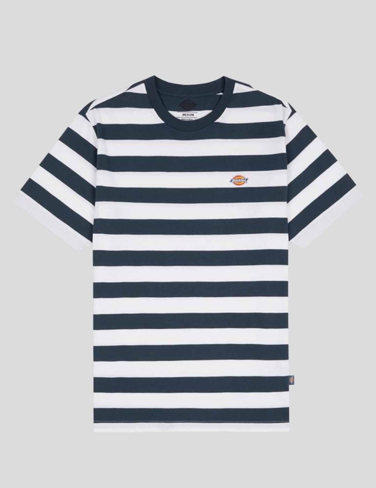 Camiseta DICKIES rivergrove tee air force blue
