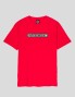 T-shirt INDEPENDENT husky turn tee network