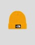 Gorro THE NORTH FACE logo box cuf beanie gold