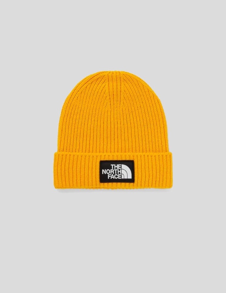 Gorro THE NORTH FACE logo box cuf beanie gold