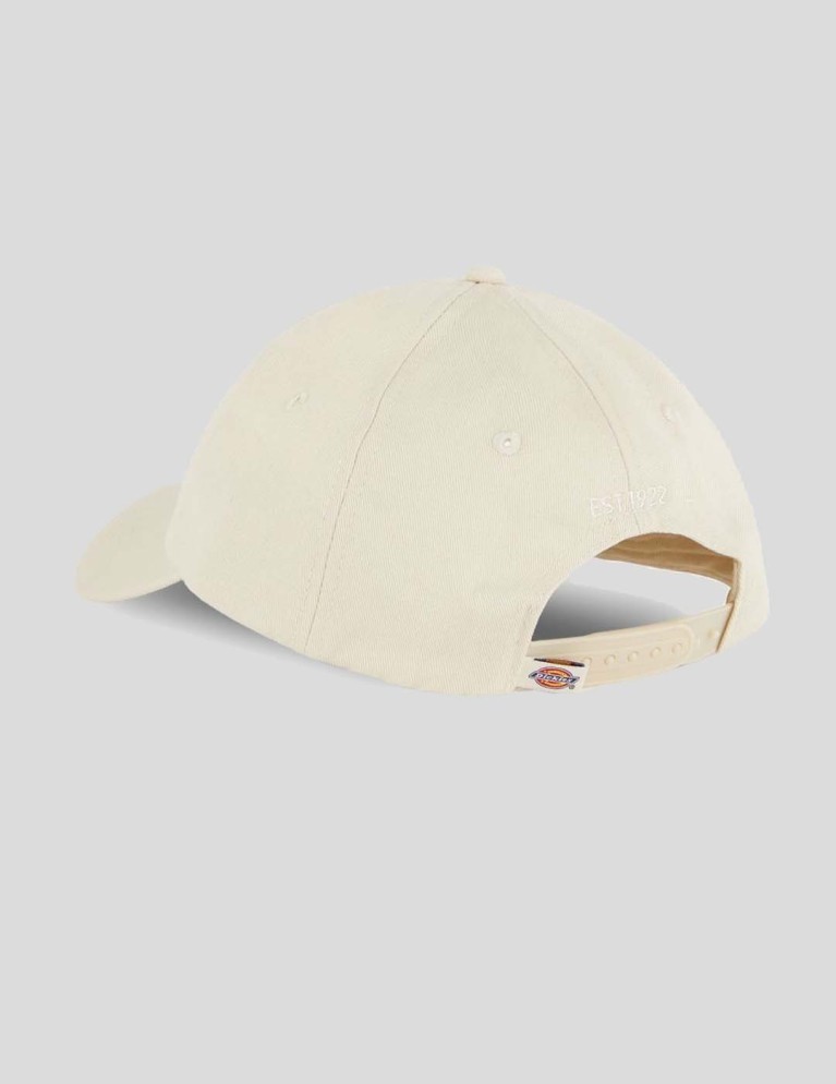 Gorra DICKIES hays cap whitecap gray