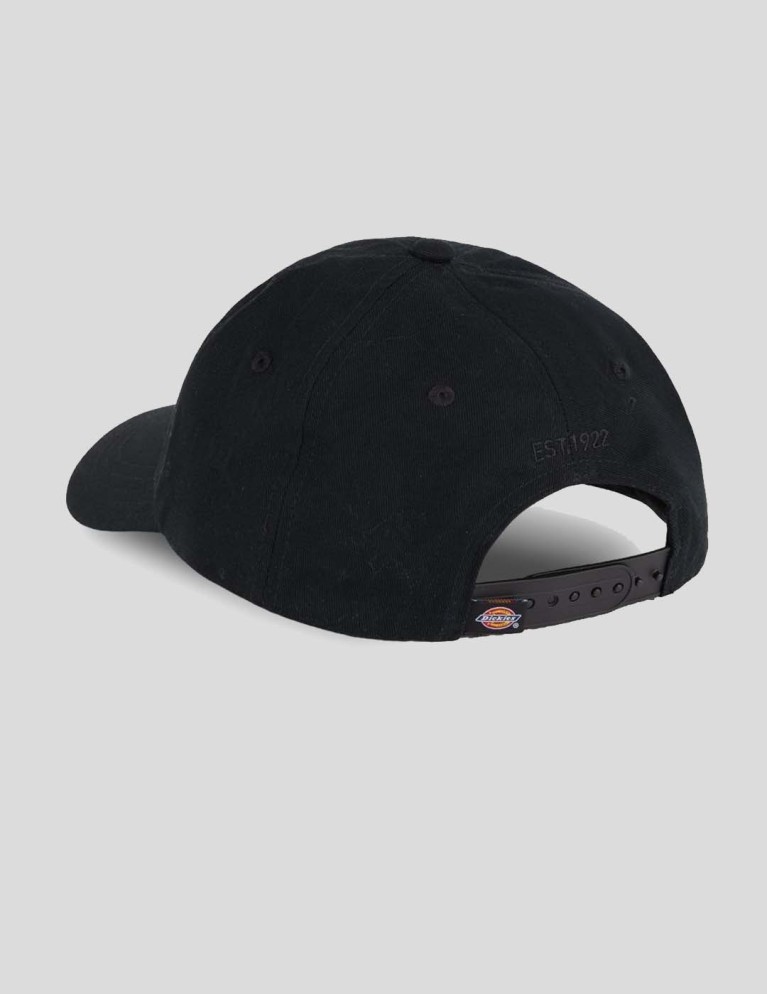 Gorra DICKIES hays cap black