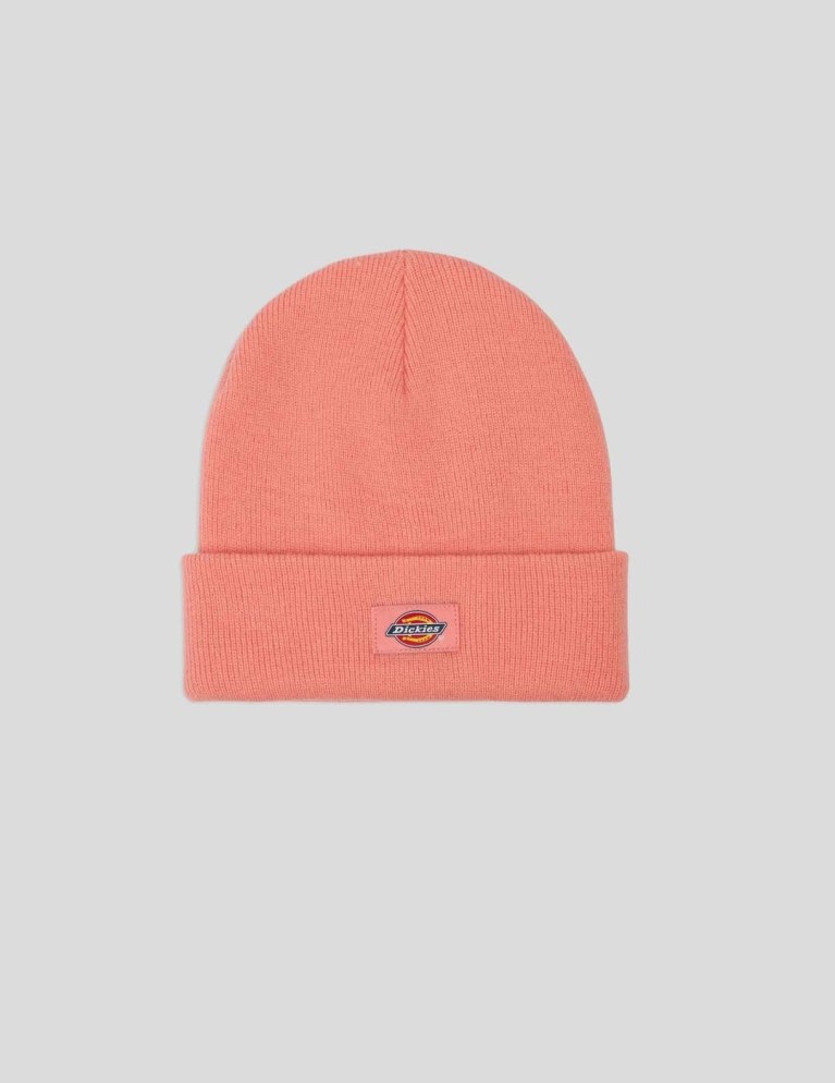 Gorro DICKIES gibsland flamingo flume