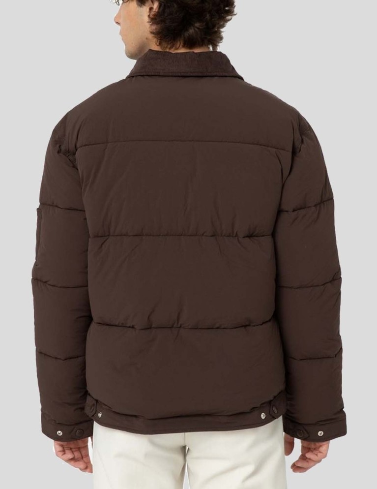 Cazadora DICKIES eisenhower overbrook puffer jacket java