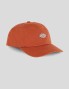 Gorra DICKIES hardwick cap bombay brown