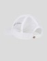 DICKIES shawsville camion cap cloud