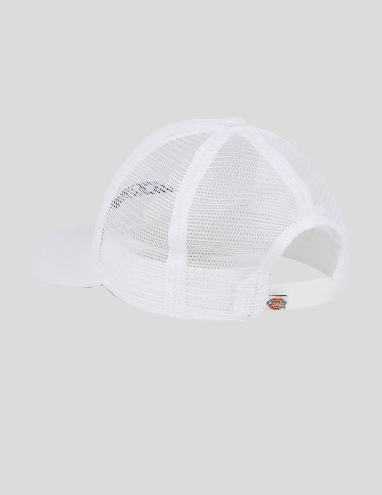 Gorra DICKIES shawsville trucker cap  cloud