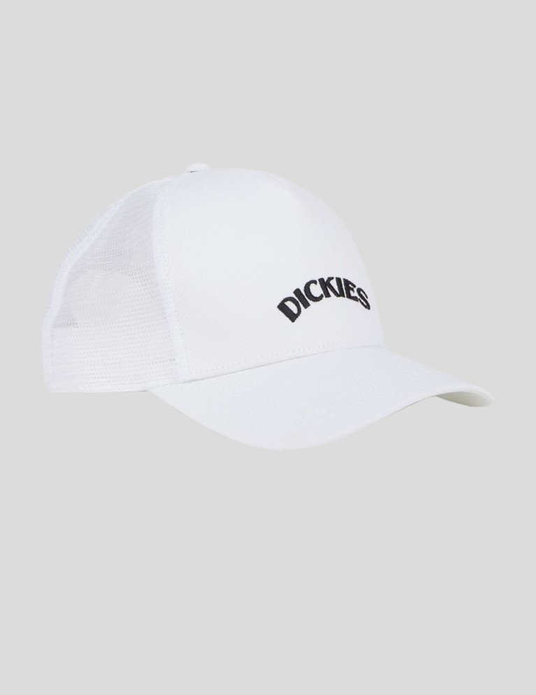 Gorra DICKIES shawsville trucker cap  cloud