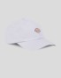 Gorra DICKIES hardwick cap cosmic sky
